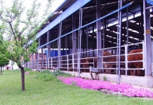 경기도, 2018년 친환경 축산업육성 워크숍 개최