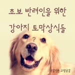 [공감신문 교양공감] 초보 반려인을 위한 강아지 토막상식들