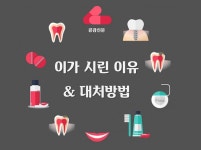 [공감신문 알쓸다정] 이가 시린 이유와 대처 방법