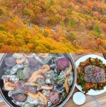 [거제도 맛집여행] 가을바다와 함께 즐기는 거제 굴구이코스 티파니횟집