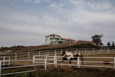새빌카페, 겨울 제주도 여행객의 발걸음 붙잡는 따뜻한 운치 선보여