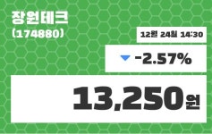 장원테크주가 12월 24일 현재 13250원