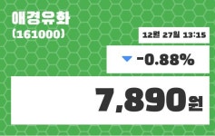 애경유화 주가증권투자정보 및 주식시황 27일  현재 7890원