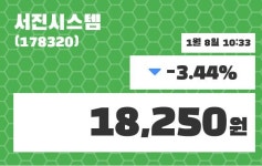서진시스템 주가종목 그래프 8일  현재 18250원