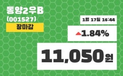 (17일공감마감정보) 동양2우B 주가 11050원으로 장 마감