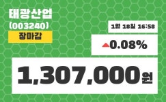 (18일공감주가마감)태광산업 1307000원 마감