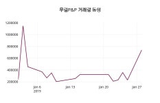 1월 29일   무림P&P 정보