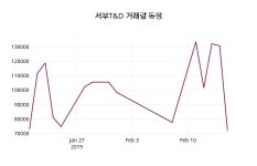 2월 18일   서부T&D 정보