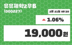 유유제약2우B 주가정보 외 주식시황.... 21일  현재 19000원