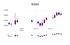 금강공업 주가정보 외 주식시황.... 25일  현재 25050원