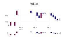 엔에스엔 주가및 증권시세  및 증권정보와 종목동정 25일  현재 2635원