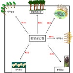 대광풍수, 행복과 성공을 가져올수 있는 비보(裨補)