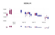 2월 28일   황금에스티 증권투자정보