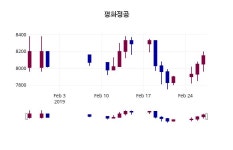 (28일공감주가마감)평화정공 8060원 마감