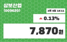 삼보산업 주가증권그래프 4일  현재 7910원
