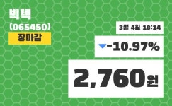 (4일공감주가마감)빅텍 2760원 마감