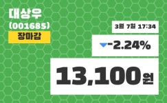 (7일공감마감정보) 대상우 주가 13100원으로 장 마감