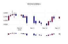 우진아이엔에스 주가증권그래프  및 주식시황 19일  현재 10900원