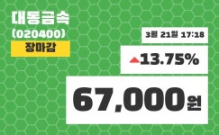 (21일공감마감증시)대동금속 67000원 마감