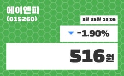 에이엔피 주가종목 그래프  및 증권정보와 종목동정 25일  현재 516원