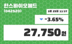 한스바이오메드 주가종목 그래프 25일  현재 27750원