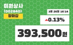 (26일공감마감정보) 미원상사 주가 393500원으로 장 마감