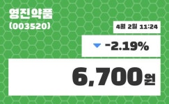 영진약품 주가증권투자정보 및 주식시황 2일  현재 6700원
