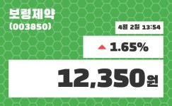 보령제약주가 4월 2일 현재 12300원
