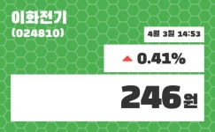 이화전기 주가정보 3일  현재 246원