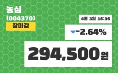 (3일마감정보)농심 294500원 마감