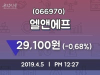 엘앤에프 주가정보 5일  현재 29100원