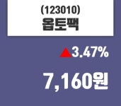 4월 19일   옵토팩 증권투자정보 및 주식시황