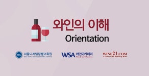 자격증센터 와인의 이해 온라인 신규 입문반 모집