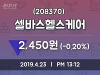 셀바스헬스케어 주가종목 그래프 23일  현재 2450원