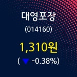대영포장 주가오늘시세 15일  현재 1310원