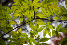 [문경 가볼만한 곳] 문경새재·고모산성·오미자 터널 등 문경 여행 시 살펴봐야 할 필수 코스
