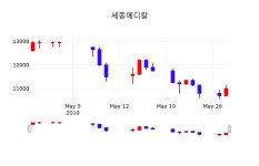 세종메디칼 주가정보 29일  현재 10650원