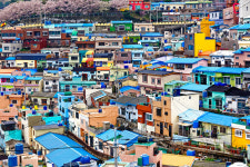 [6월 국내 여행 추천] 국내 인기 여행지 부산 가볼 만한 곳은? 바다 + 감천문화마을 + 국제시장
