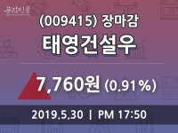 (30일주가마감정보) 태영건설우 주가 7760원으로 장 마감