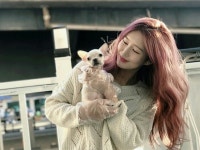 인천 강아지분양 인천 컴투펫, 50% 이벤트분양