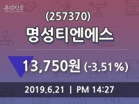 명성티엔에스주가 6월 21일 현재 13750원