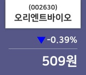 오리엔트바이오 주가증권그래프  및 종목동정과 증시정보 1일  현재 509원
