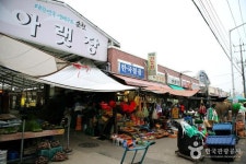 순천만습지·순천만국가정원·야시장까지…순천 가볼만한 곳 추천