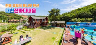 보령 대천해수욕장 근처 대천 펜션 산바다내음펜션의 대형 워터슬라이드 수영장을 무료로 즐기는 유럽형 통나무 단체 펜션