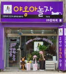 고양이 무마취 미용 전문, 인천 반려동물 미용실 야옹아놀자