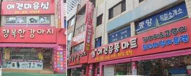 목포 행복한강아지, 애견분양부터 호텔·미용·용품까지…믿고 맡길 수 있는 서비스 제공하는 애견 토탈샵