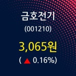 금호전기 주가정보 및 주식시황 23일  현재 3065원