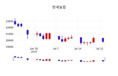 한세실업 주가증권그래프 23일  현재 19550원