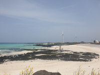 제주 악마의잼, 월정리 핫플레이스 카페