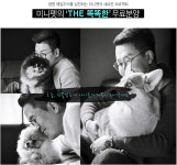 강아지, 고양이분양 ㈜미니펫, 유기견 또는 무료분양을 가장한 분양샵 조심해야